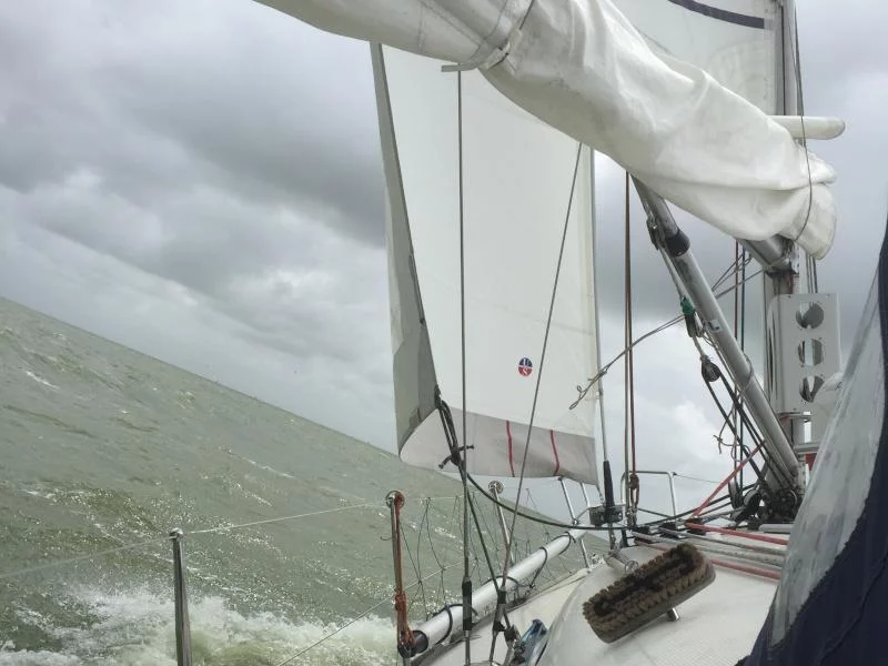 First 36.7 (Grote Beer)  - 2
