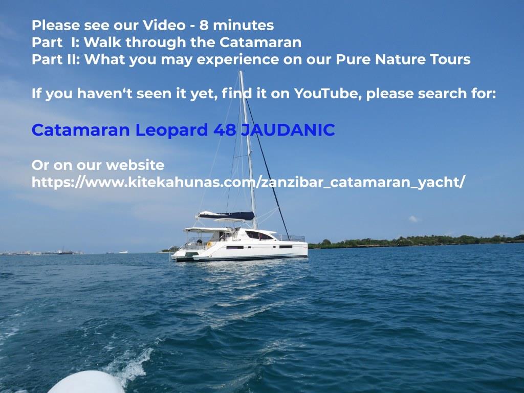 Photo #43 - Leopard 48 (JAUDANIC III) en Zanzibar - 20839