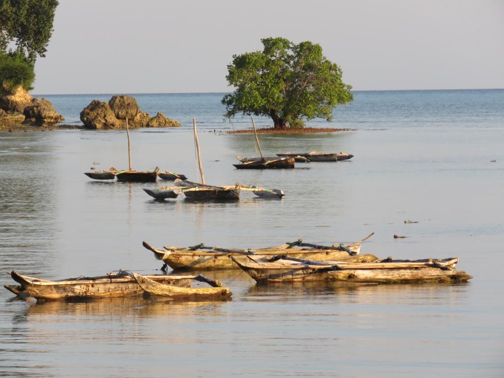 Photo #14 - Leopard 48 (JAUDANIC III) en Zanzibar - 20839