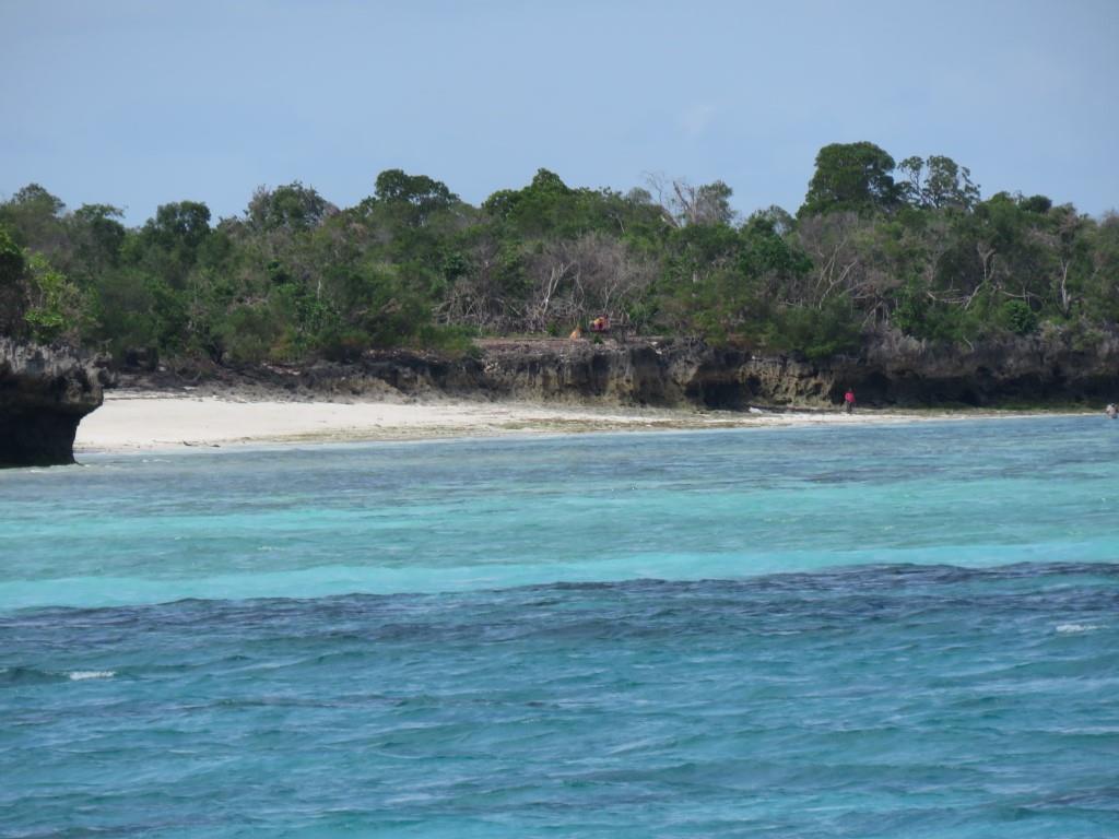 Photo #50 - Leopard 48 (JAUDANIC III) en Zanzibar - 20839