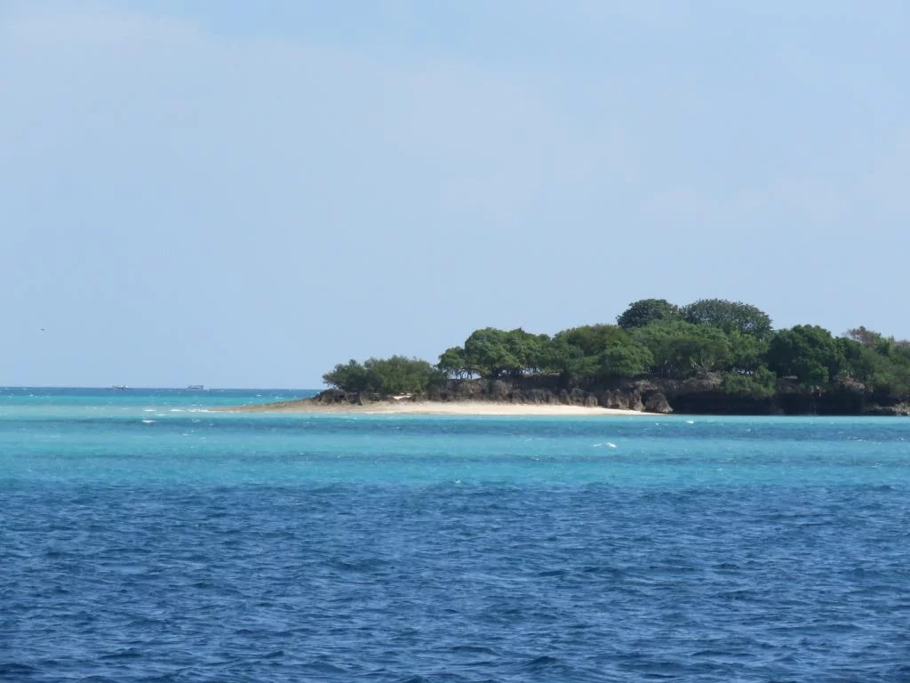 Leopard 48 (JAUDANIC III)  - 6