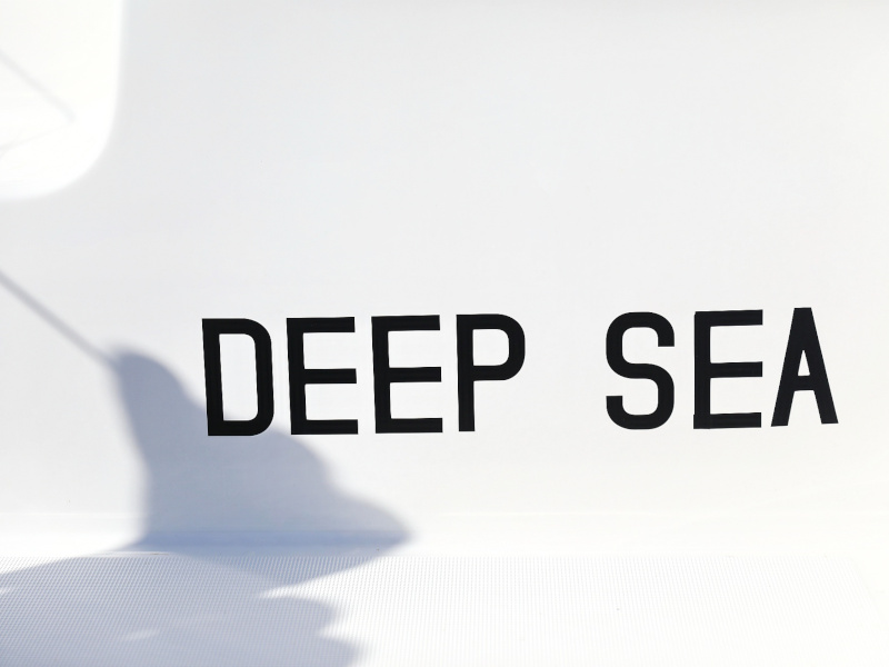 Photo #43 - Lagoon 46 (DEEPSEA) en Sukosan - 3902