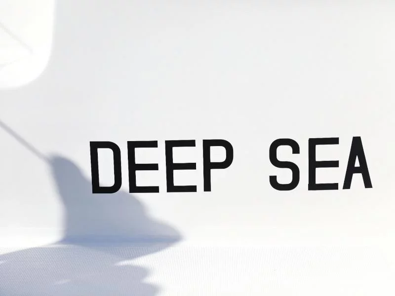 Lagoon 46 (DEEPSEA)  - 42