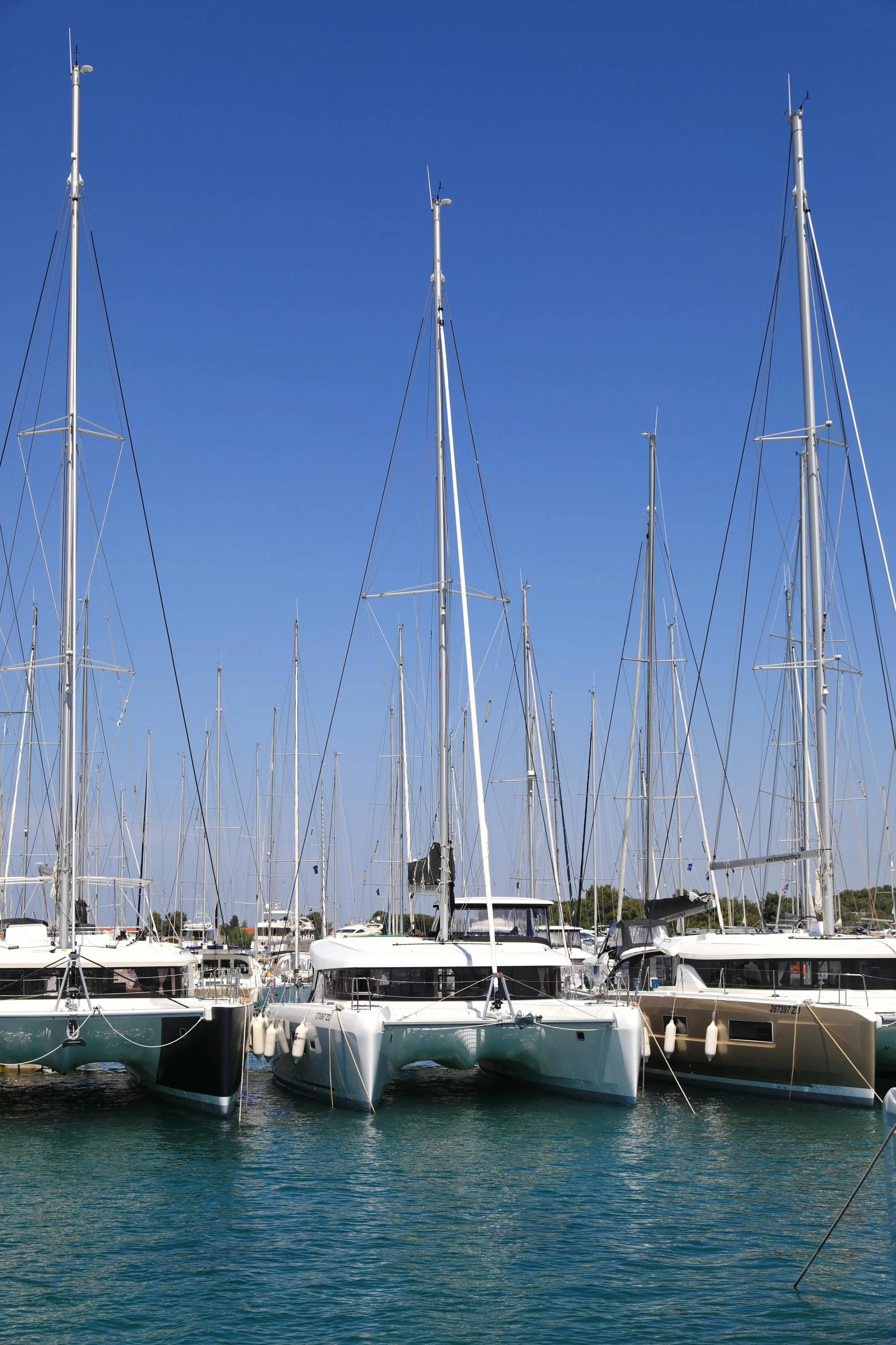 Lagoon 42 (ZEUS)  - 50