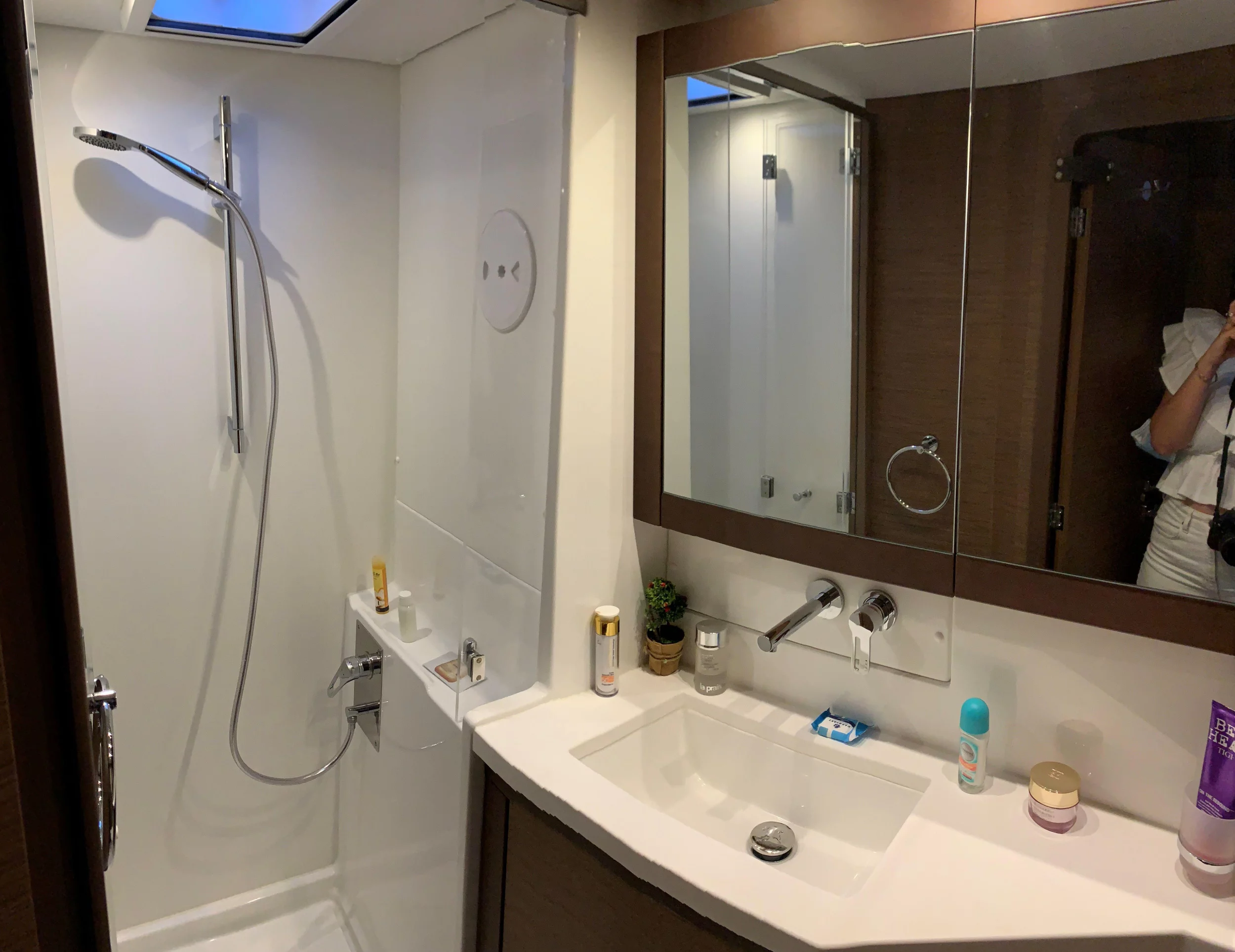 Lagoon 450 Flybridge (Aelia)  - 1