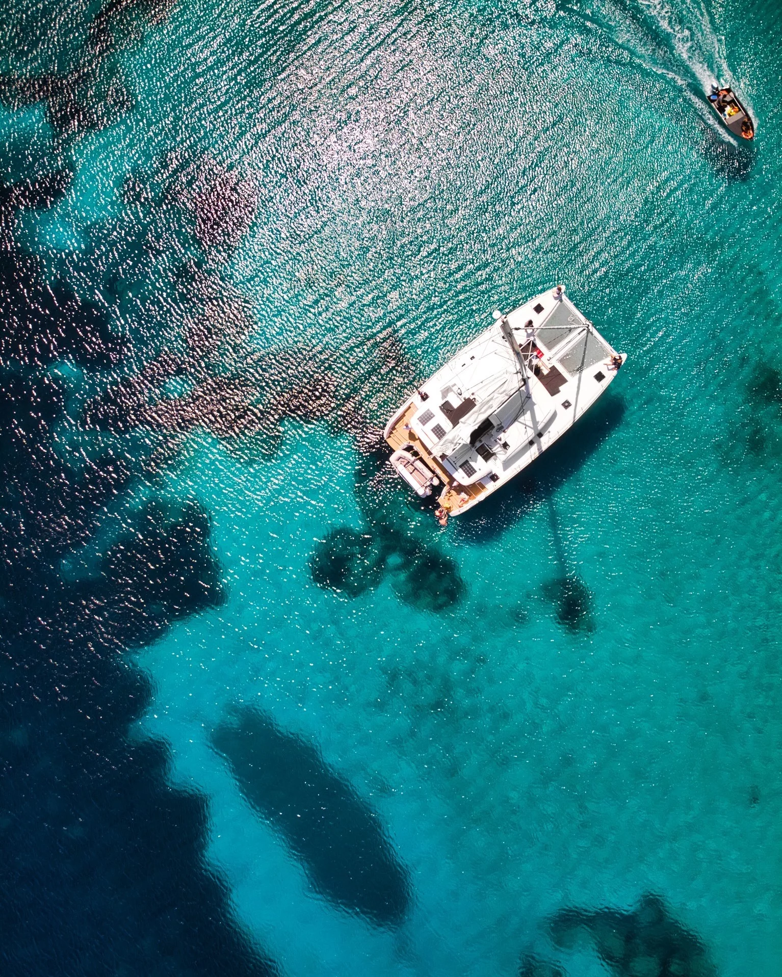 Lagoon 450F (Pollo)  - 2