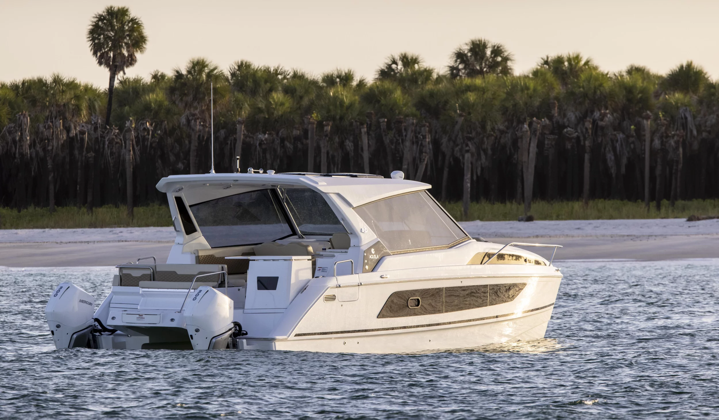 Aquila 36 (Joy)  - 7