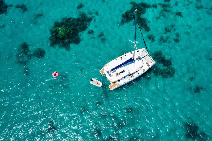 Photo #10 - Leopard 48 (Black Swan) en Zanzibar - 15960