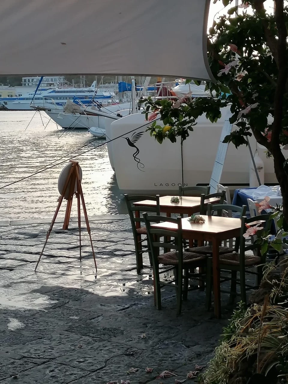 Lagoon 50 (Colibrì Platinum Service)  - 17
