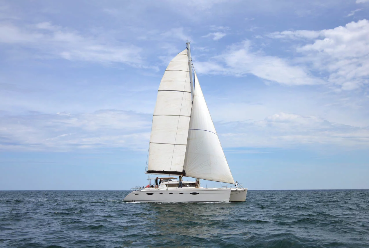 Eleuthera 60 (Whale)  - 1