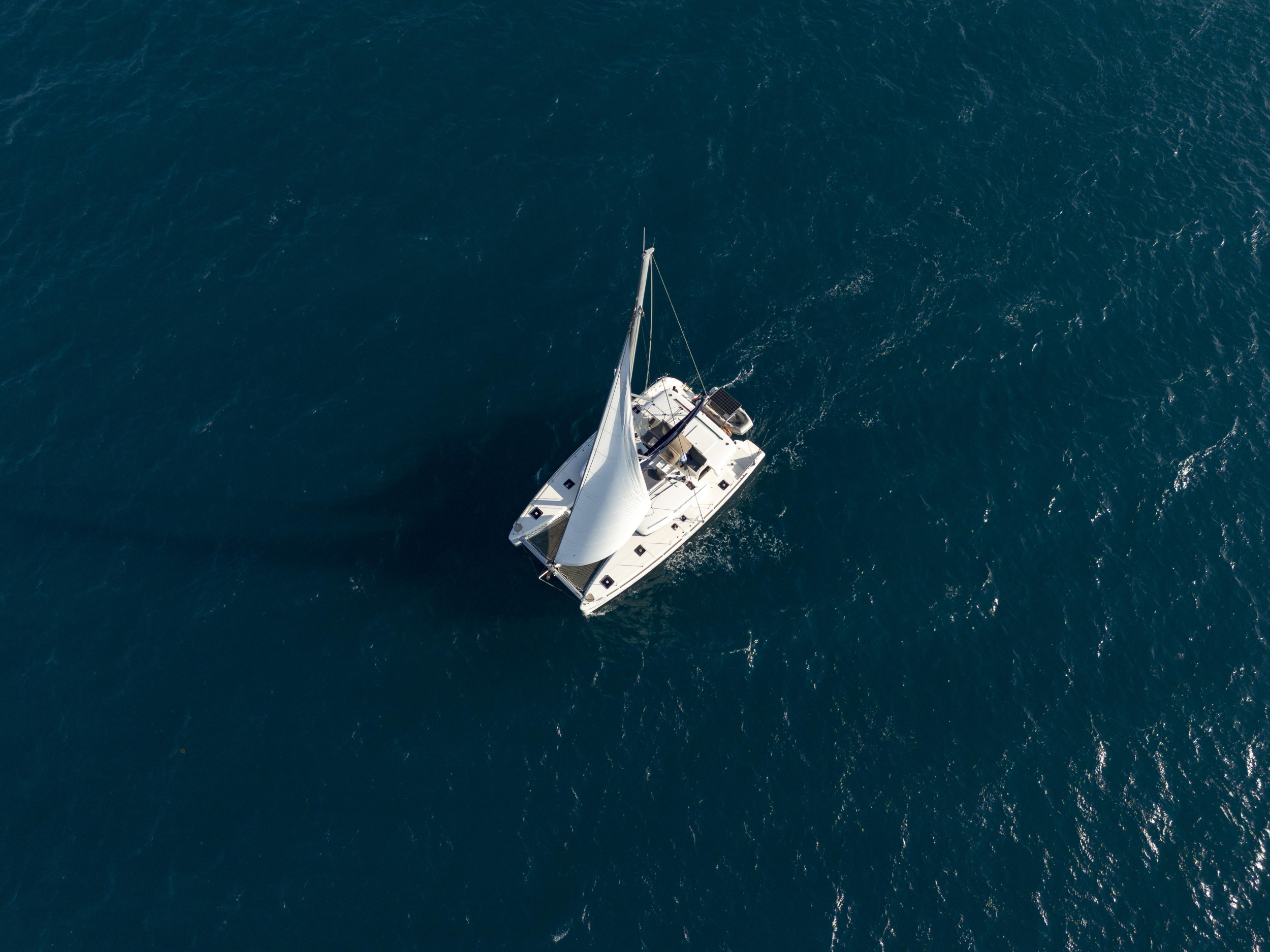 Photo #5 - Lagoon 450 Fly (Butterfly) en Zanzibar - 20254