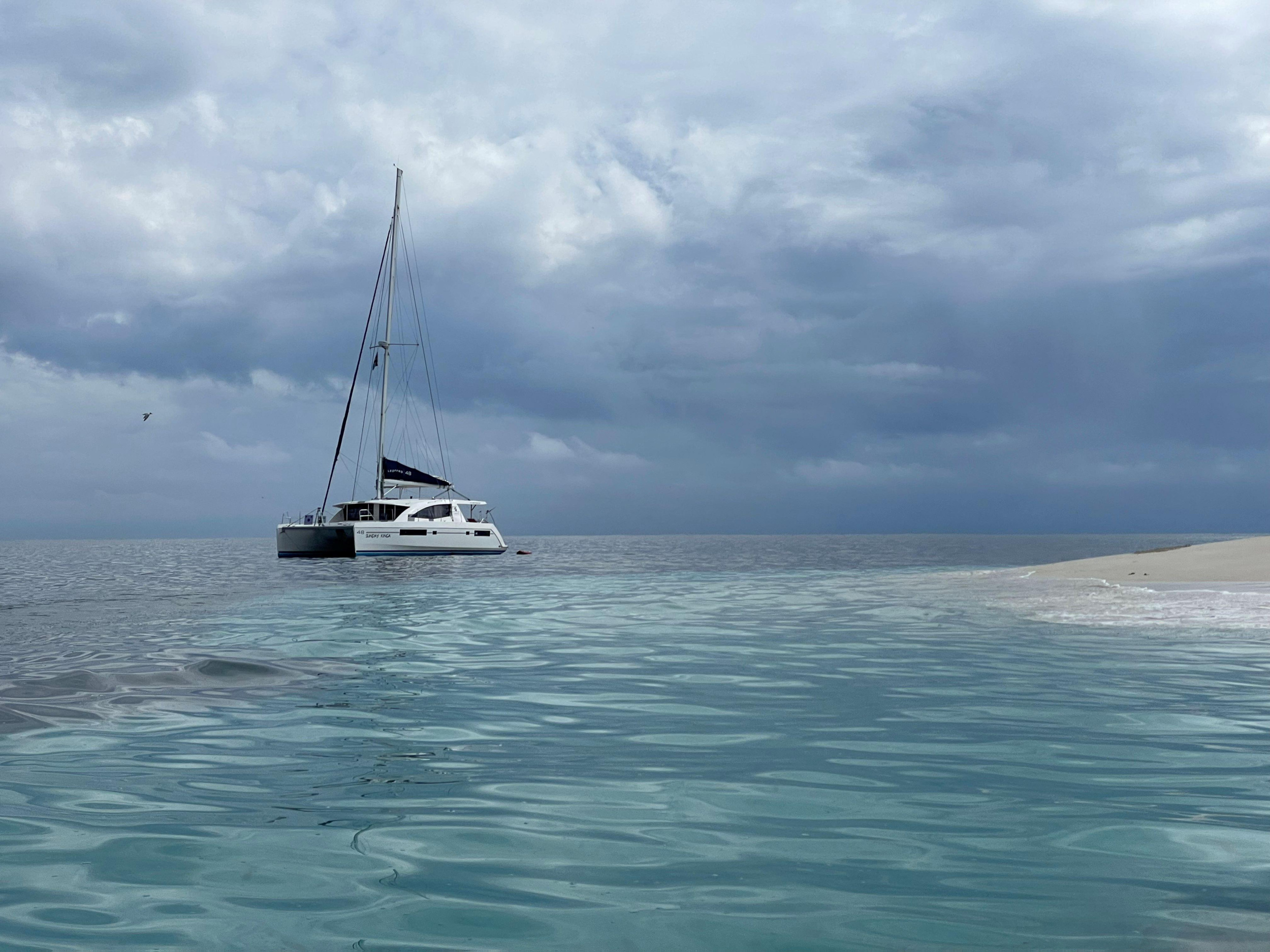 Photo #4 - Leopard 48 (Sunday Kinga) en Zanzibar - 22893