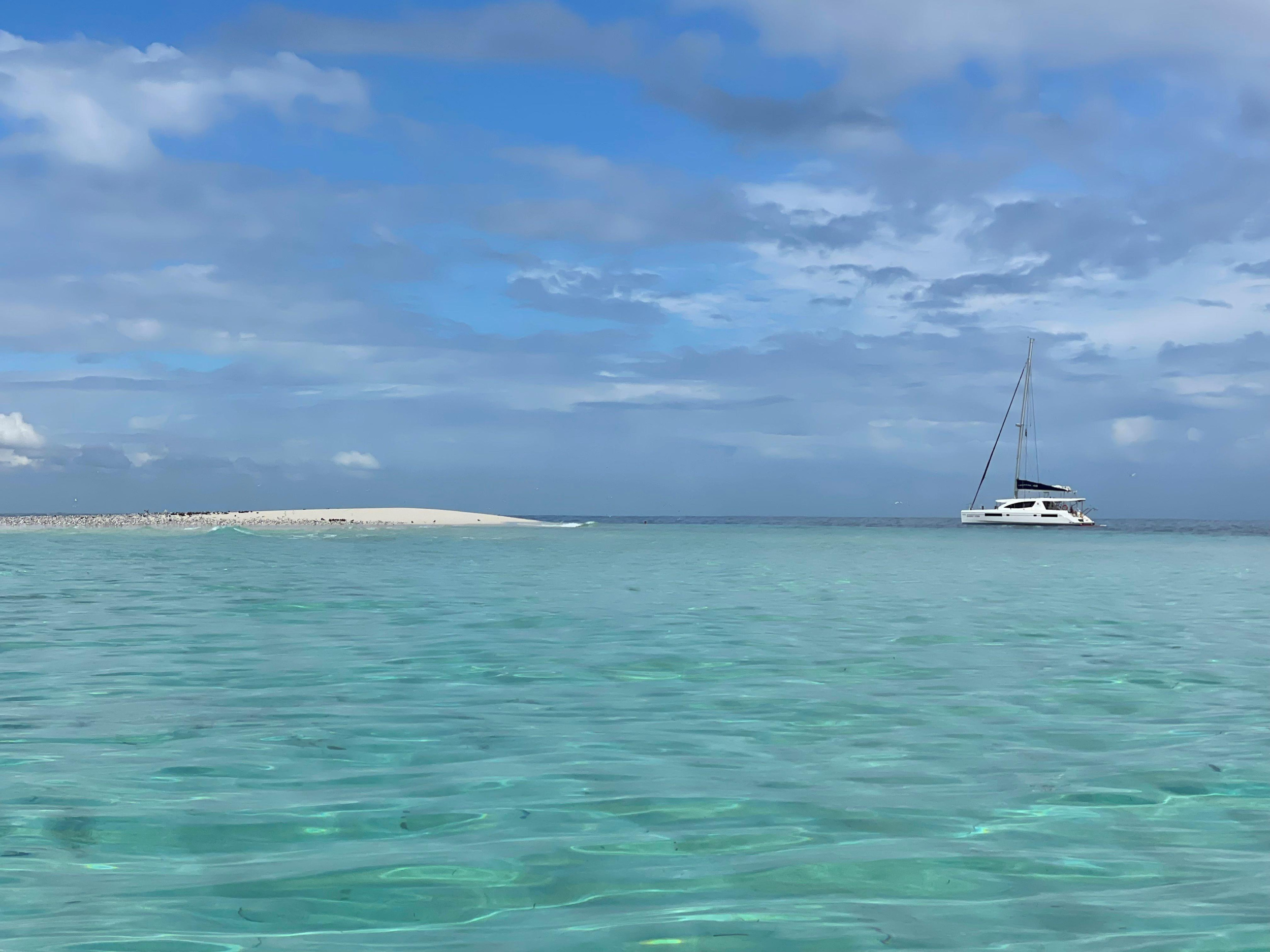 Photo #13 - Leopard 48 (Sunday Kinga) en Zanzibar - 22893