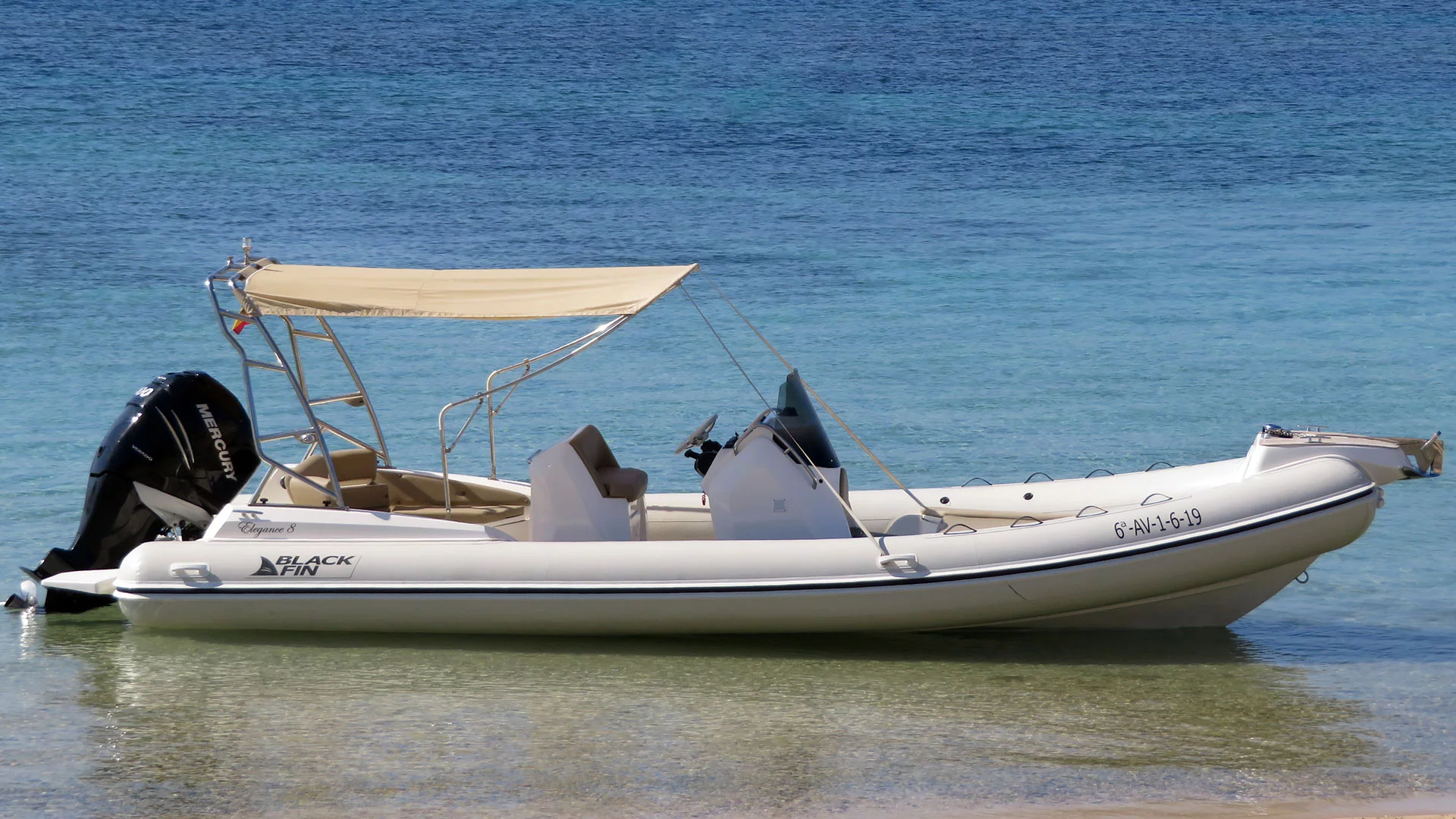 Blackfin Elegance 8 (Blanca)  - 4