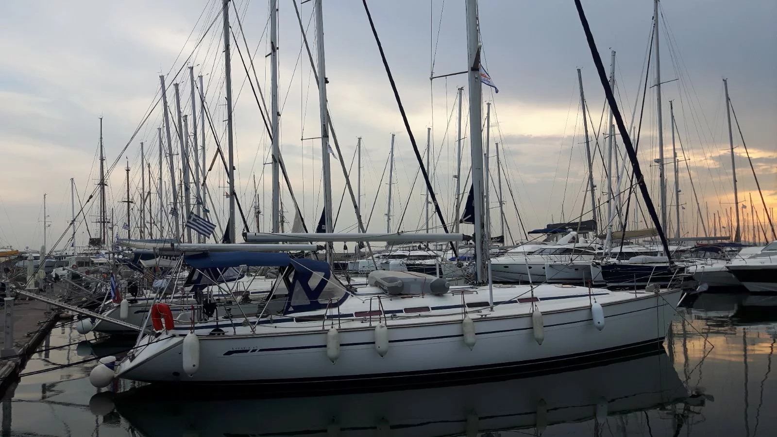 Bavaria 49 (Narcissus)  - 7