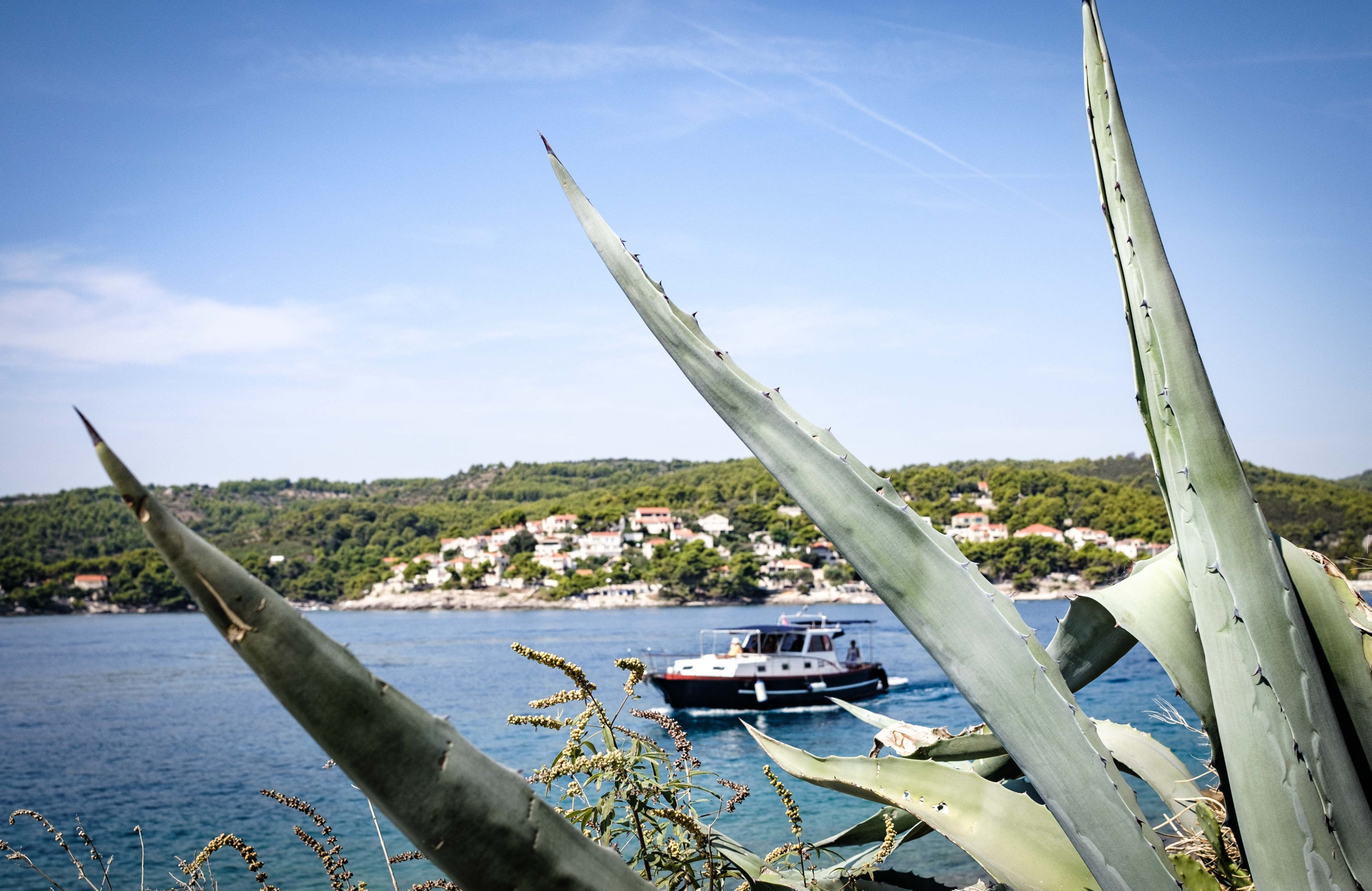 Photo #13 - Dalmatian boat (BILI) in Split - 18050
