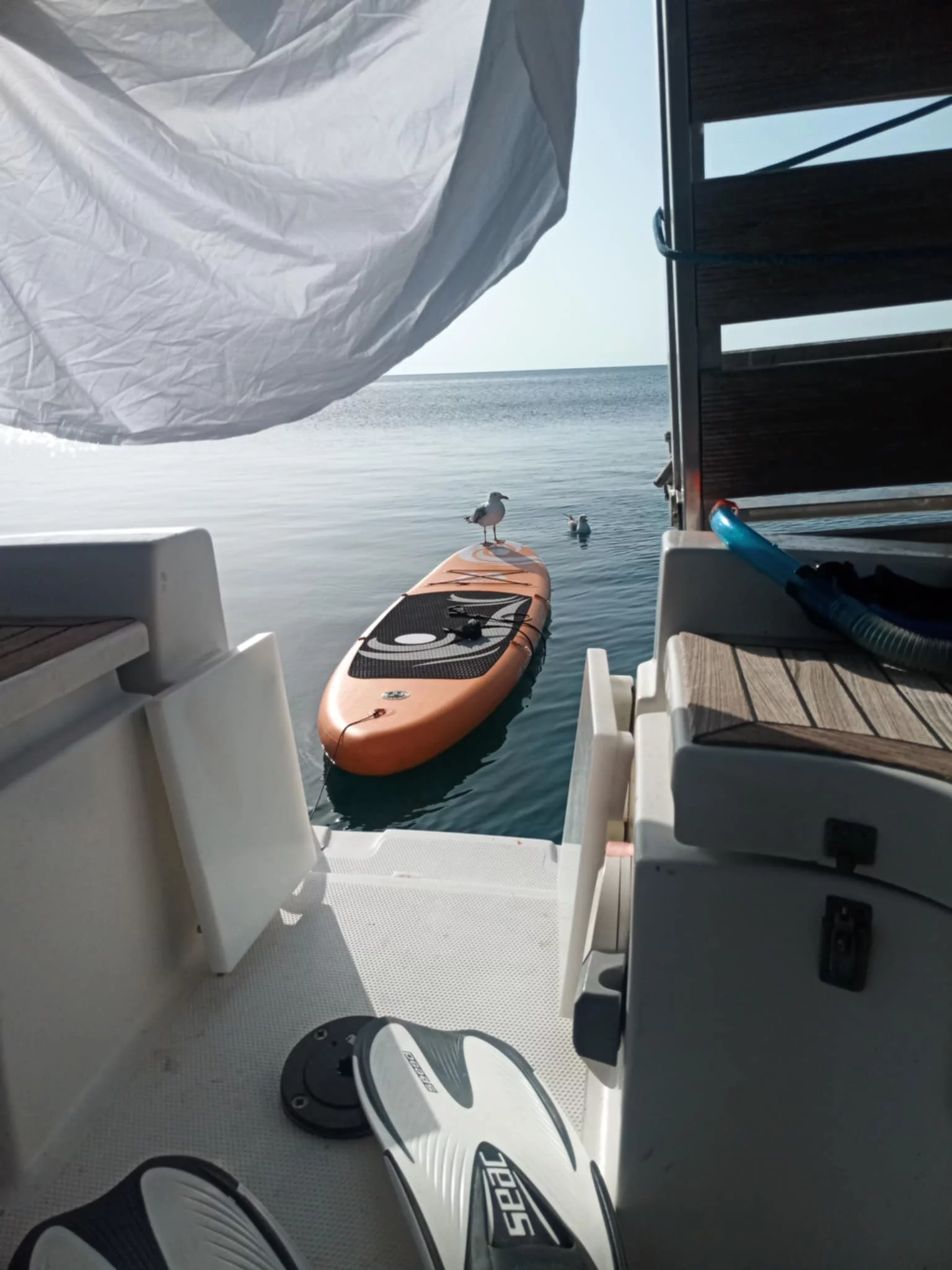 Hanse 342 (9 Muses)  - 1