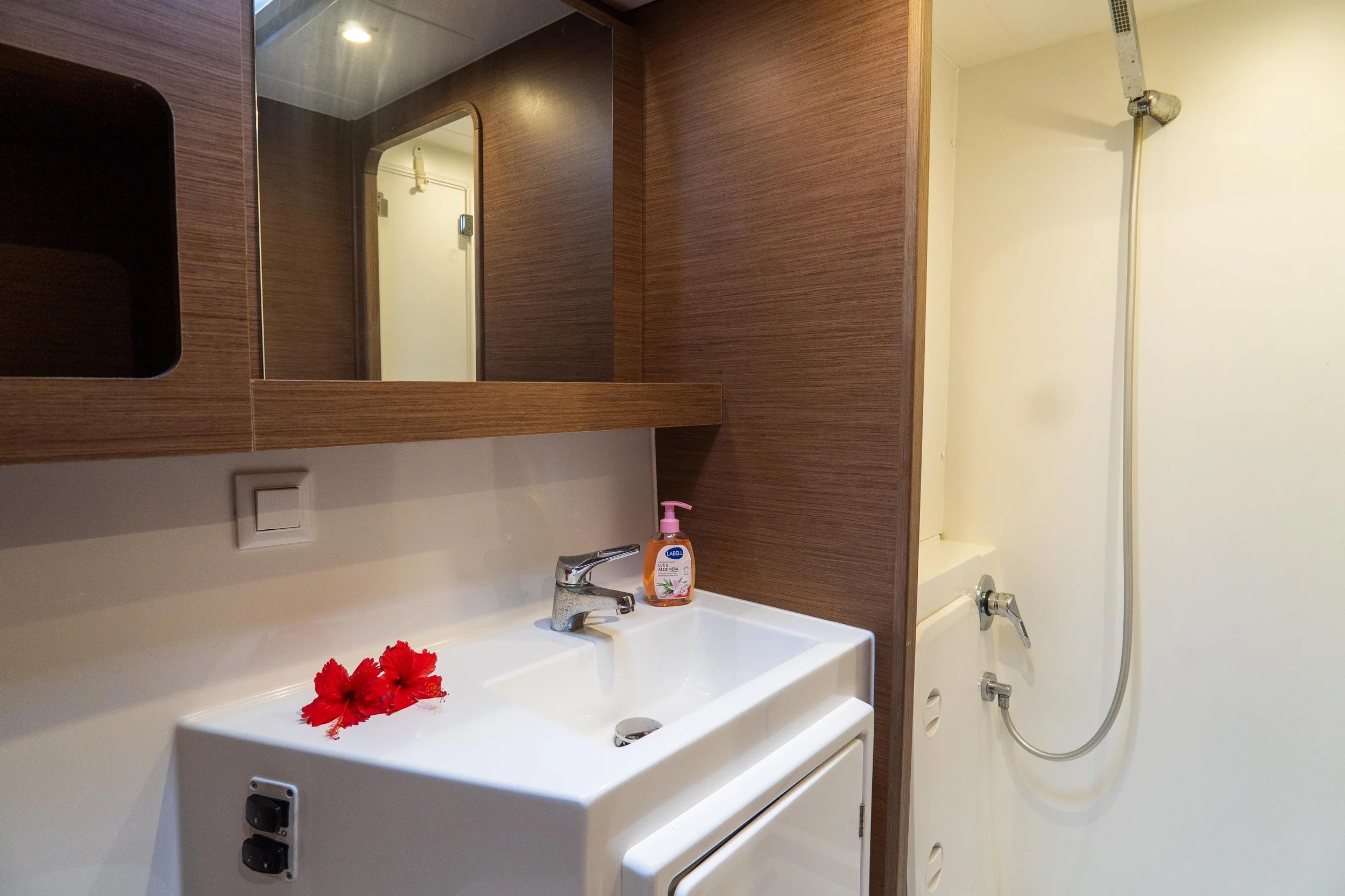 Lagoon 42 (Boomer II) bathroom - 3