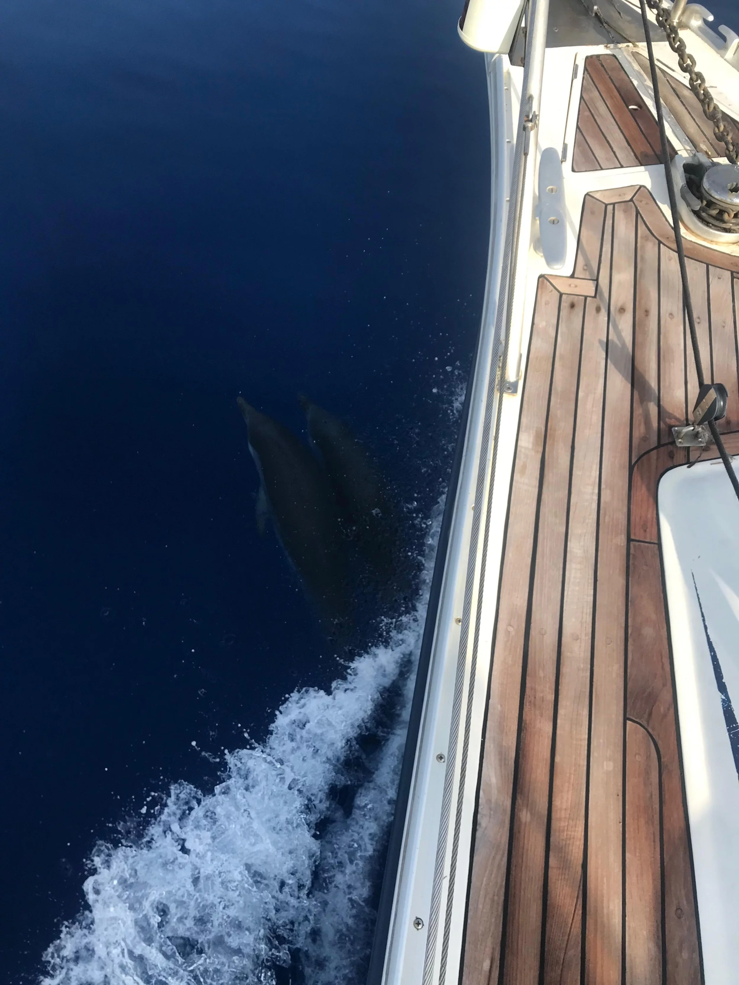 Ocean Star 51.2 (Hermes)  - 16