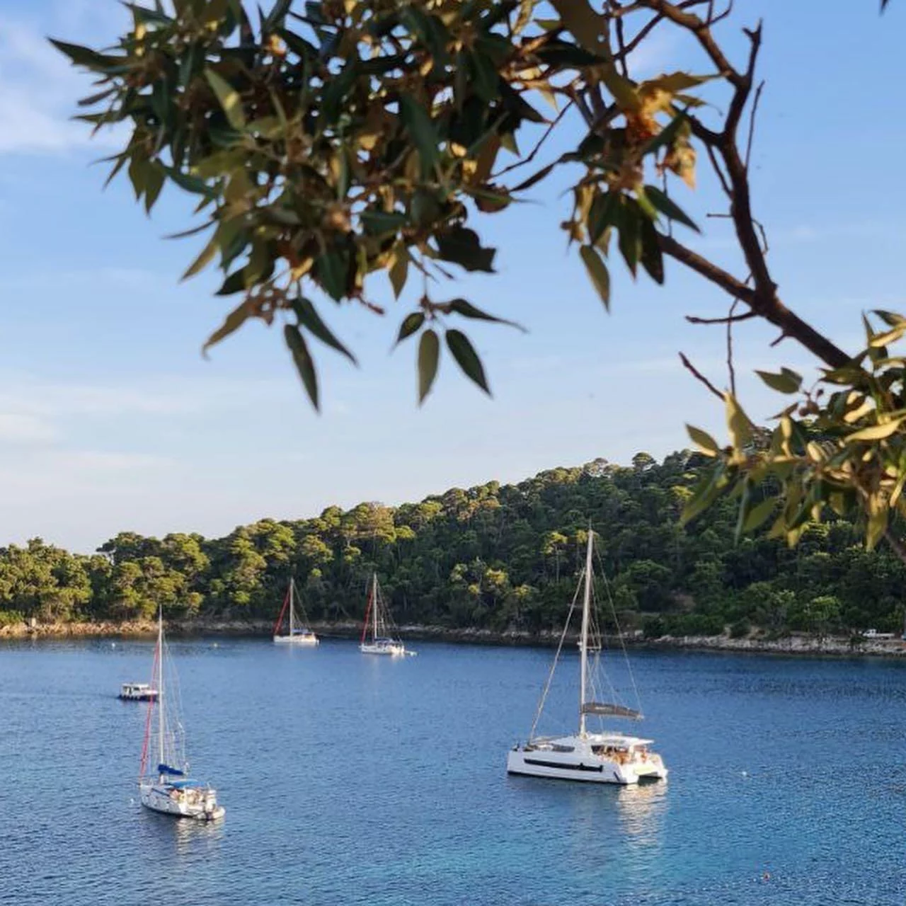 Bali 4.6 (Standra)  - 19