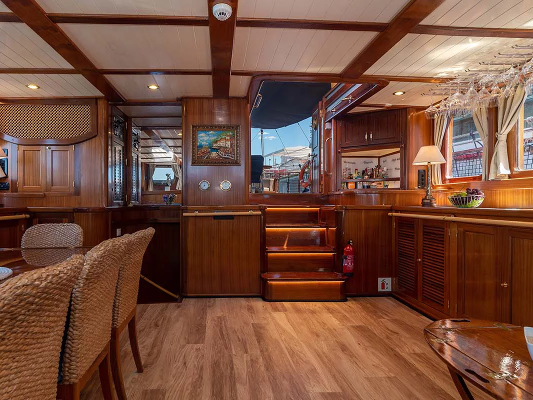 Gulet Smart Spirit (SMART SPIRIT) Interior image - 11