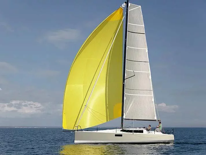 Pogo 36 (LITTLE WING) Main image - 0