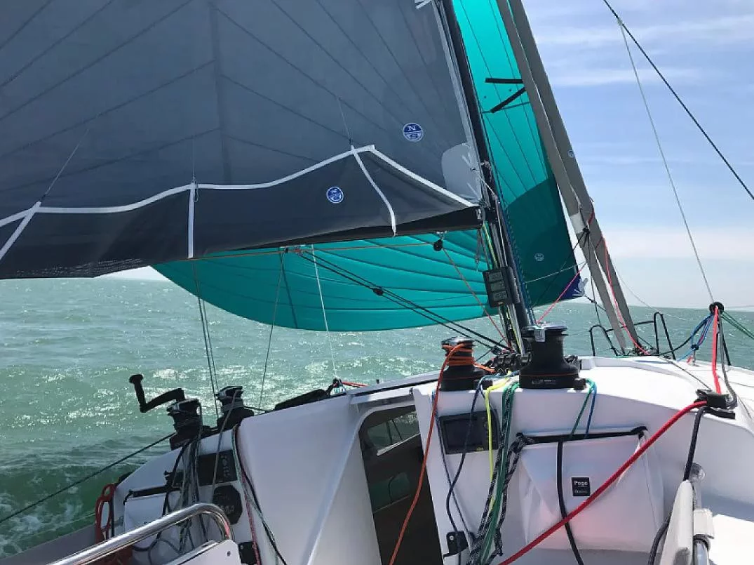 Pogo 36 (LITTLE WING)  - 4