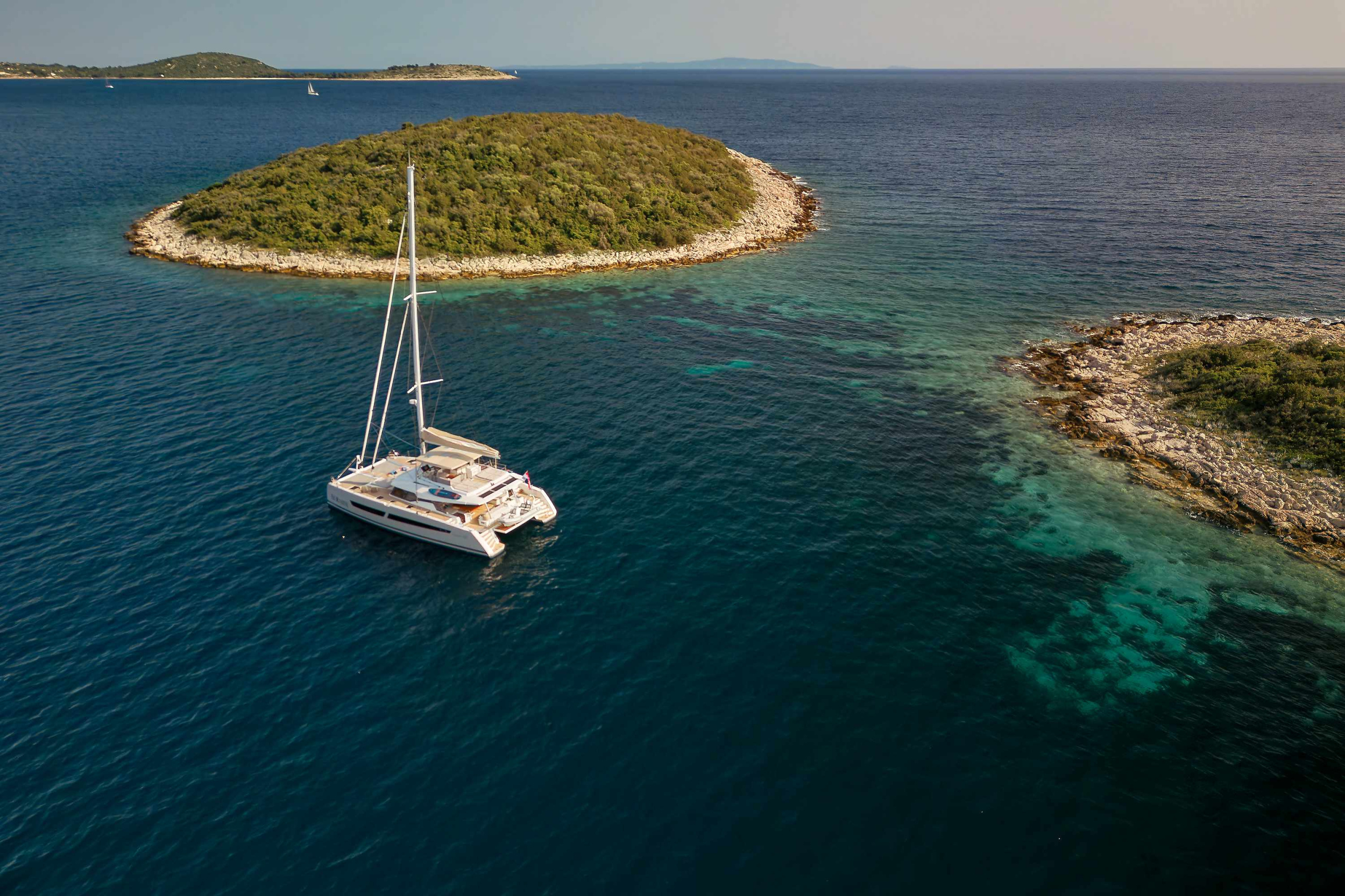 Alegria 67 — photo 25