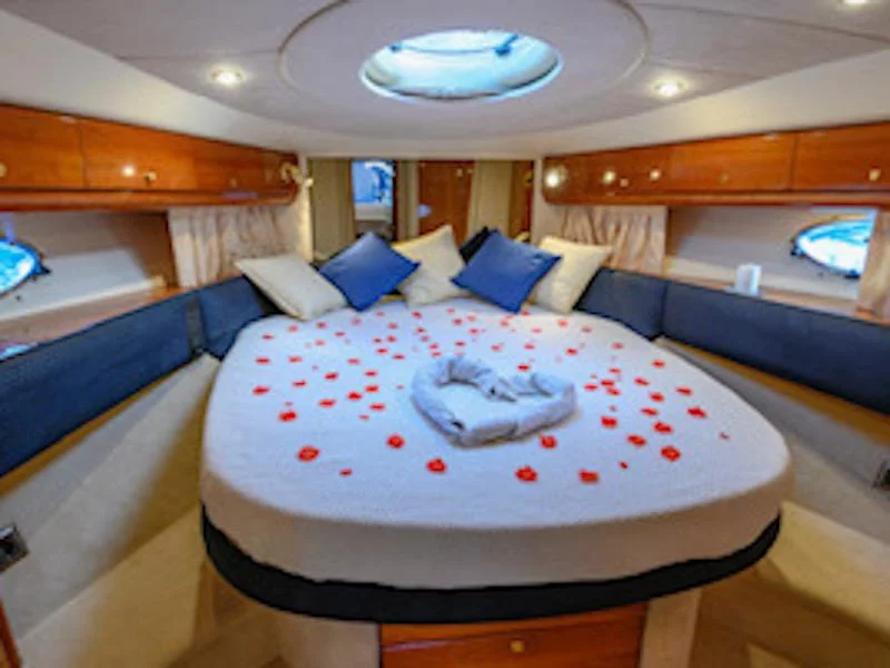 Princess V55 (Mery Rose)  - 14