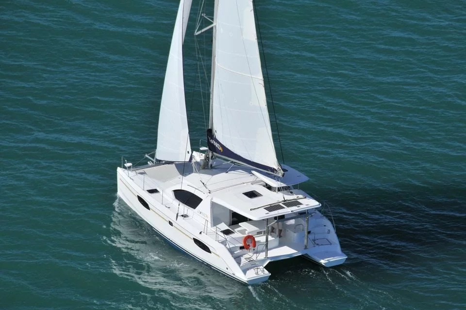 Leopard 39 (Izan)  - 20