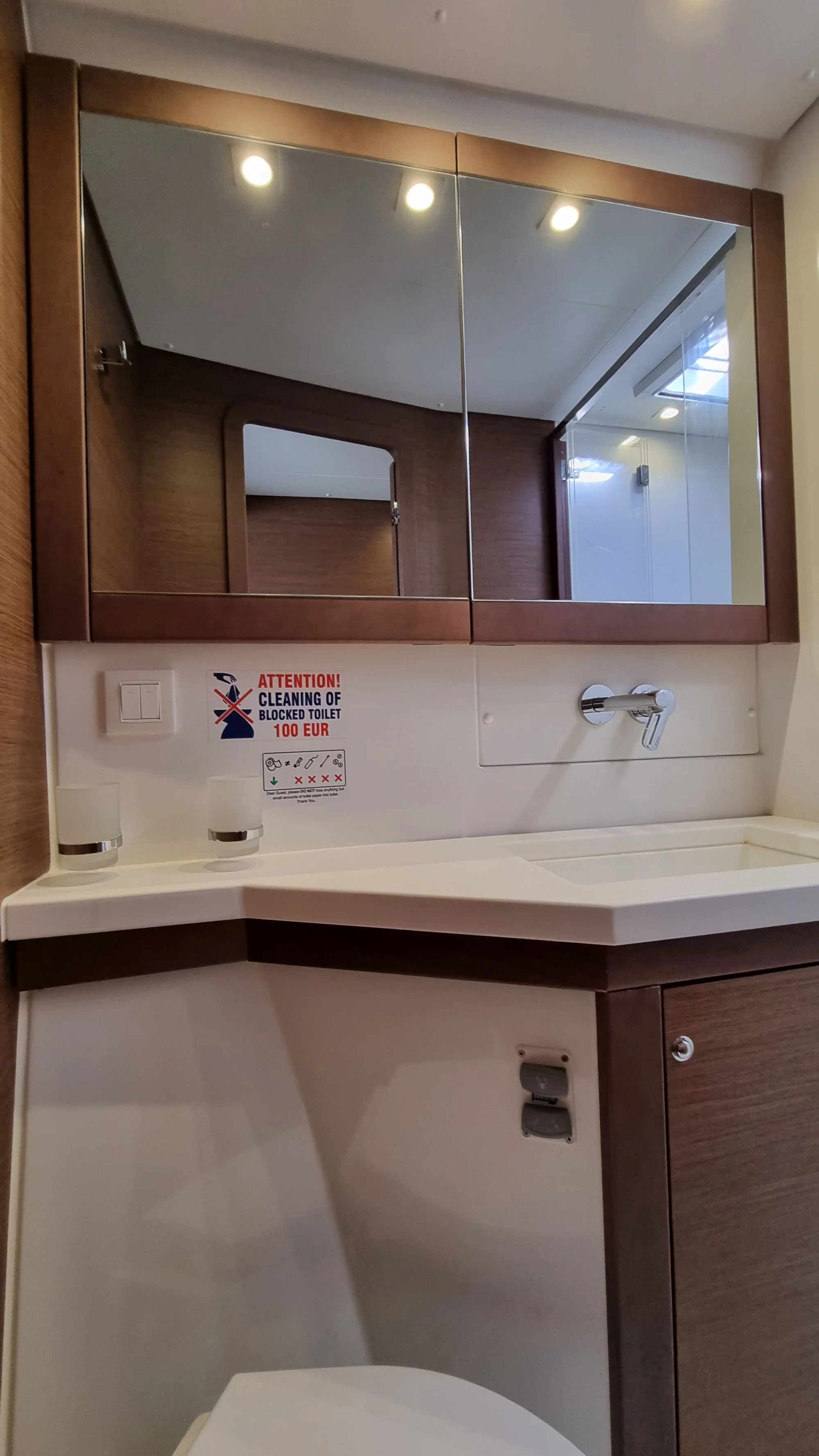 Lagoon 450F (SAMOGON)  - 3