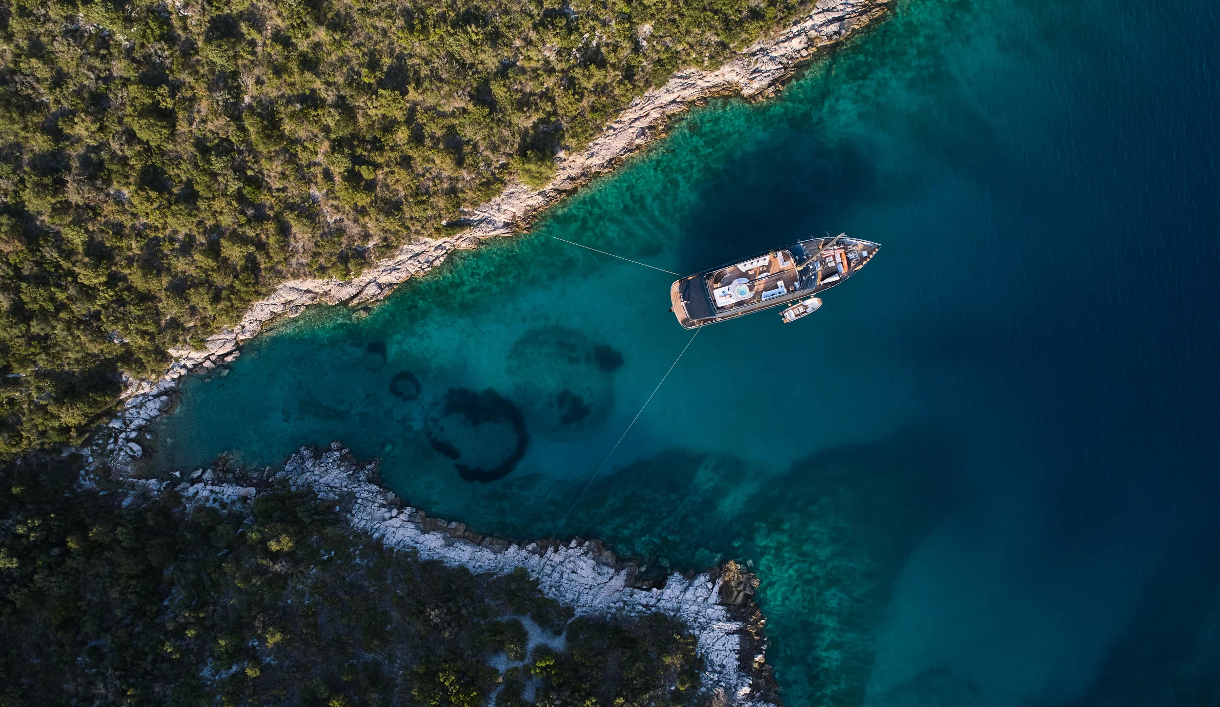 Luxury Sailing Yacht Rara Avis (Rara Avis)  - 86