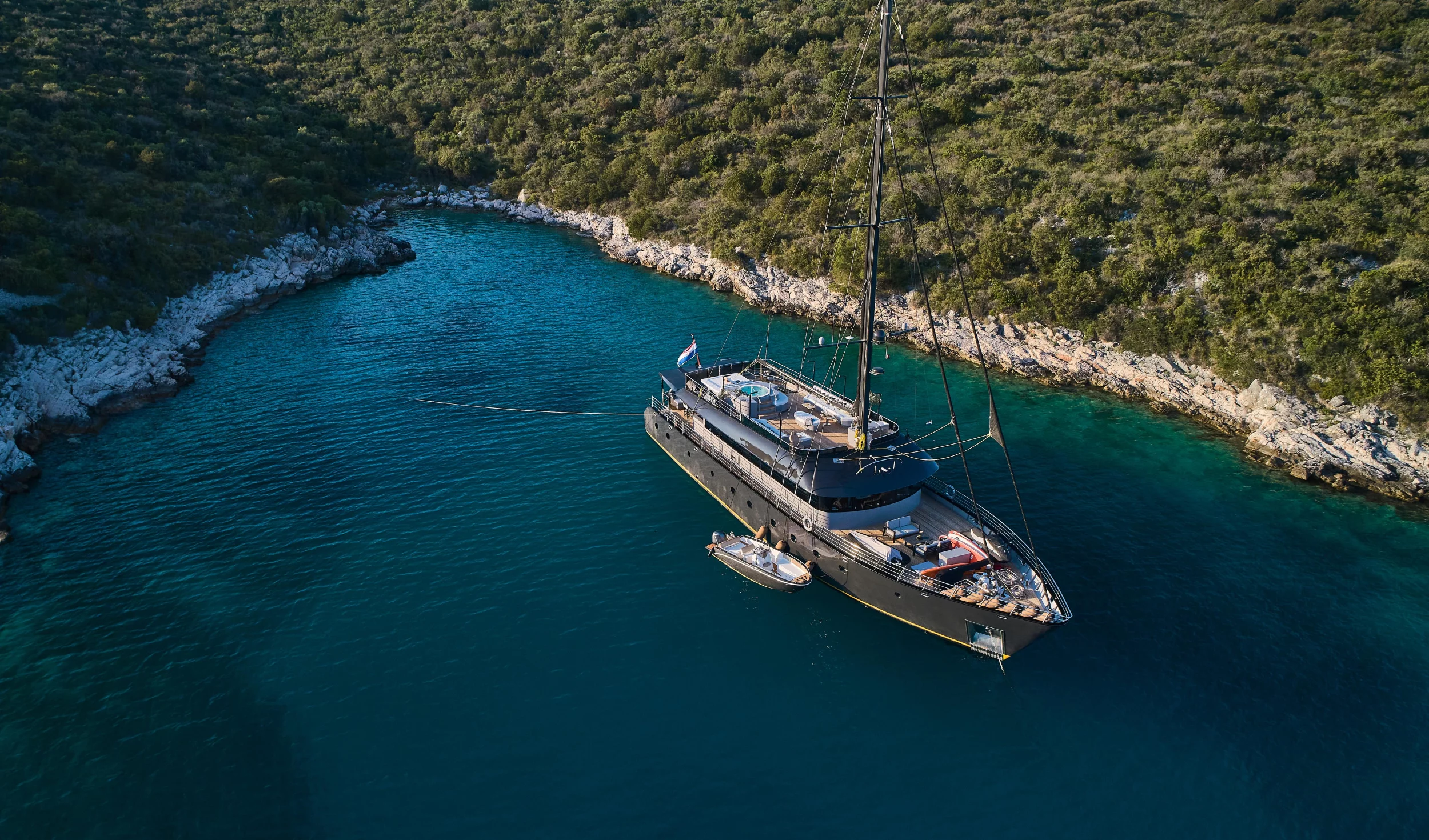 Luxury Sailing Yacht Rara Avis (Rara Avis)  - 71