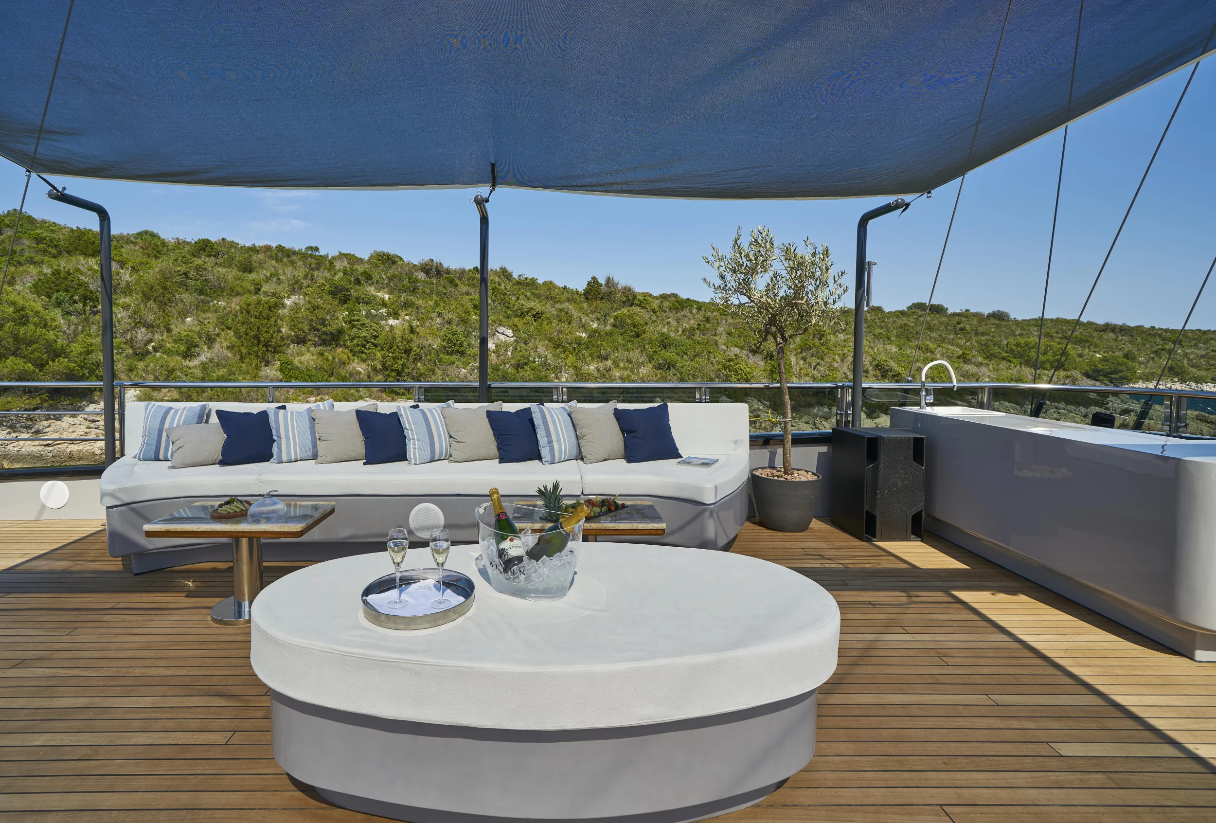 Luxury Sailing Yacht Rara Avis (Rara Avis)  - 115