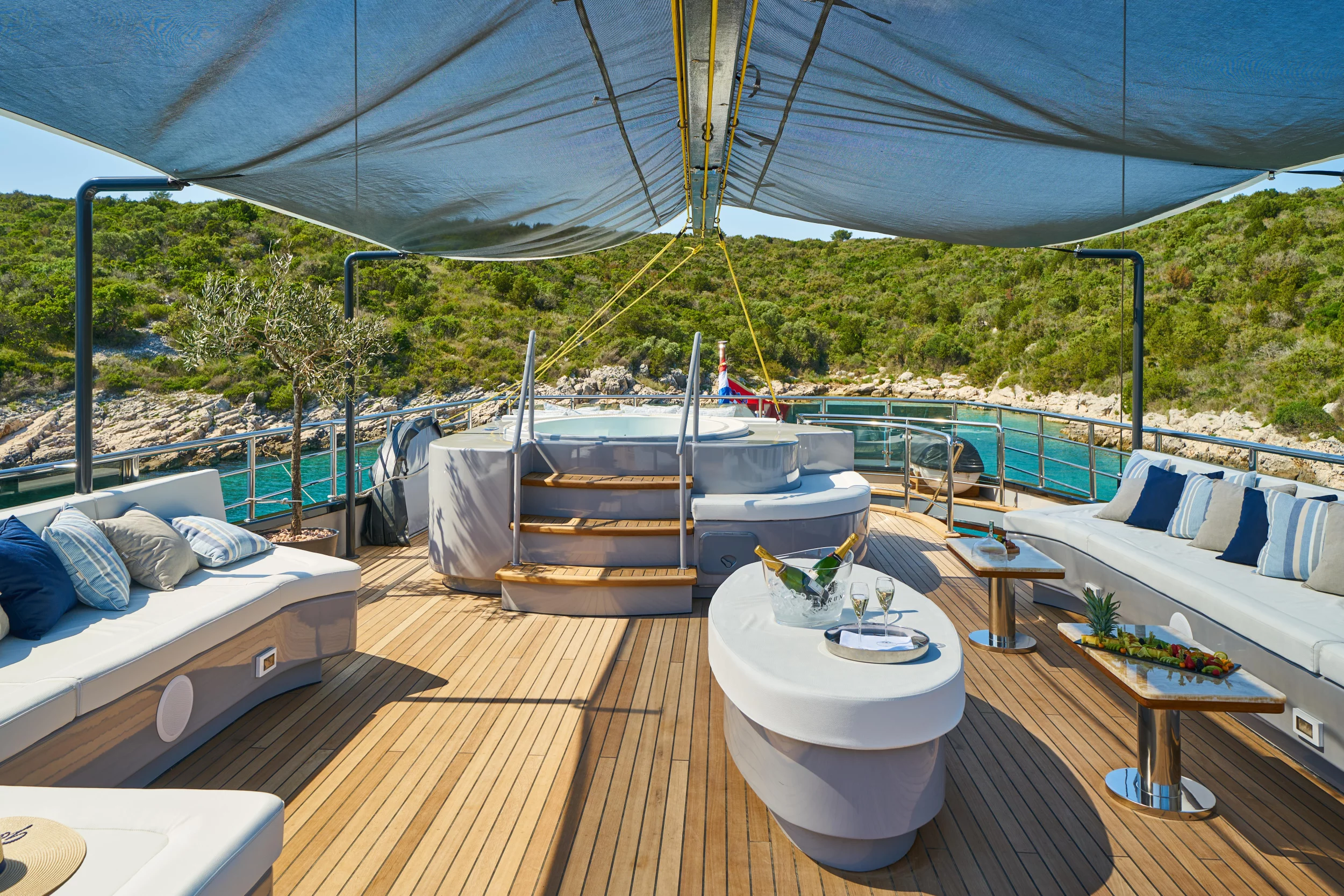 Luxury Sailing Yacht Rara Avis (Rara Avis)  - 41