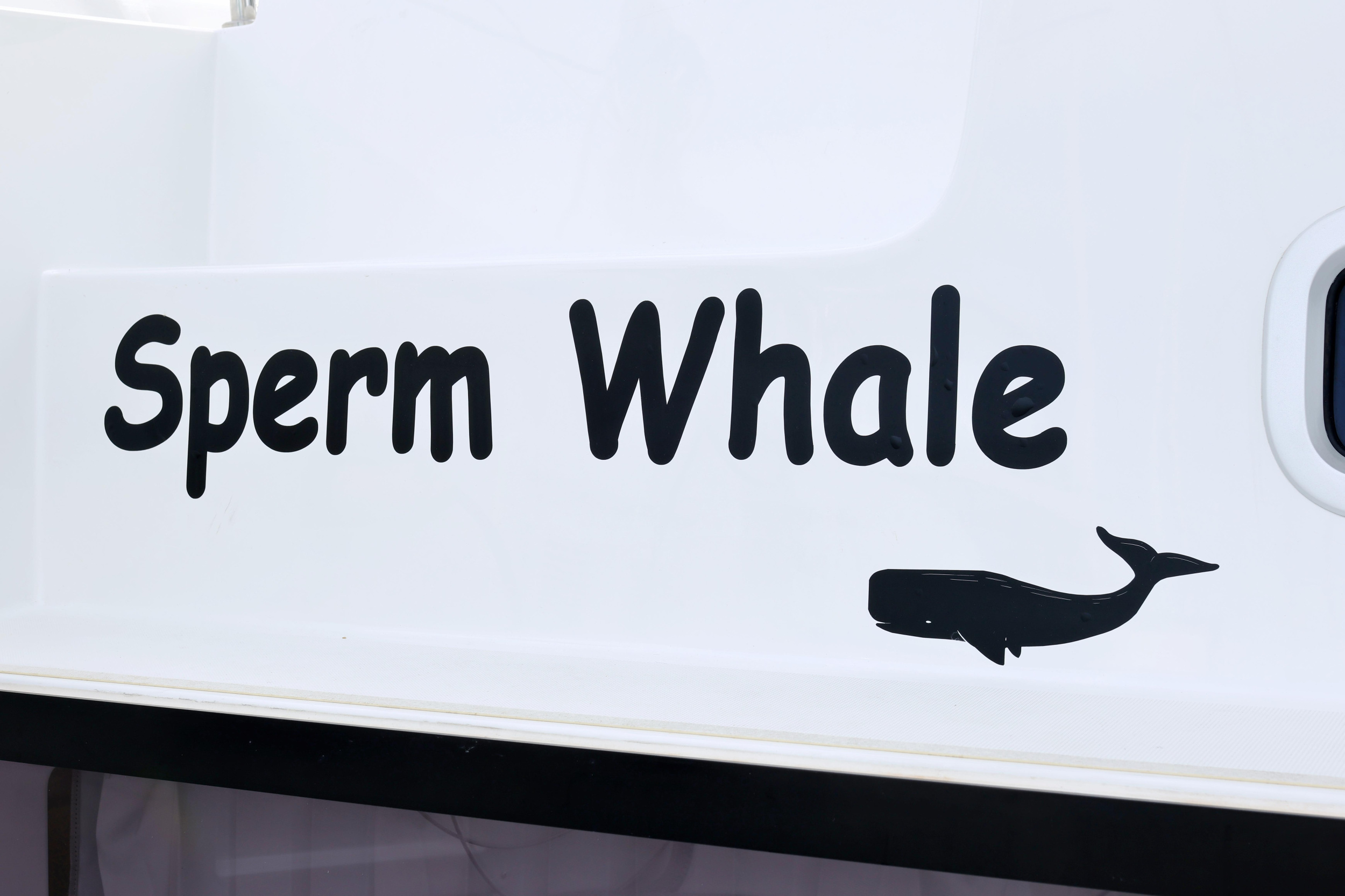 Photo #82 - Lagoon 42 (SPERM WHALE) en Sukosan - 12771