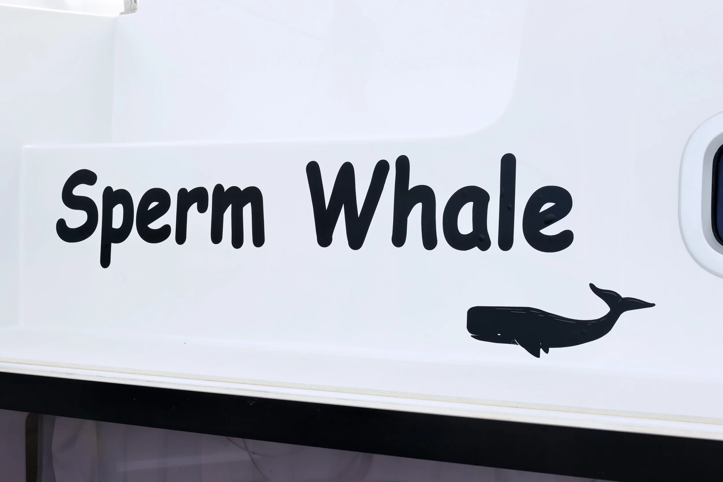 Lagoon 42 (SPERM WHALE)  - 81