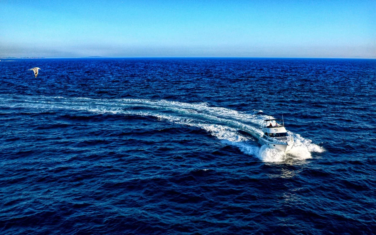 Princess 45 (Carina)  - 51