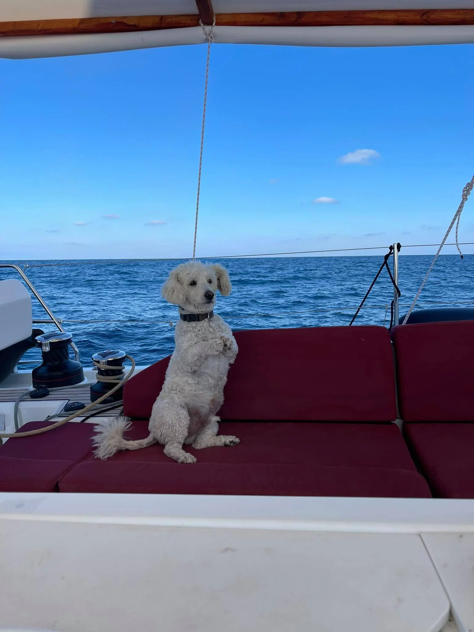 Oceanis 51.1 (Ef Zin)  - 21