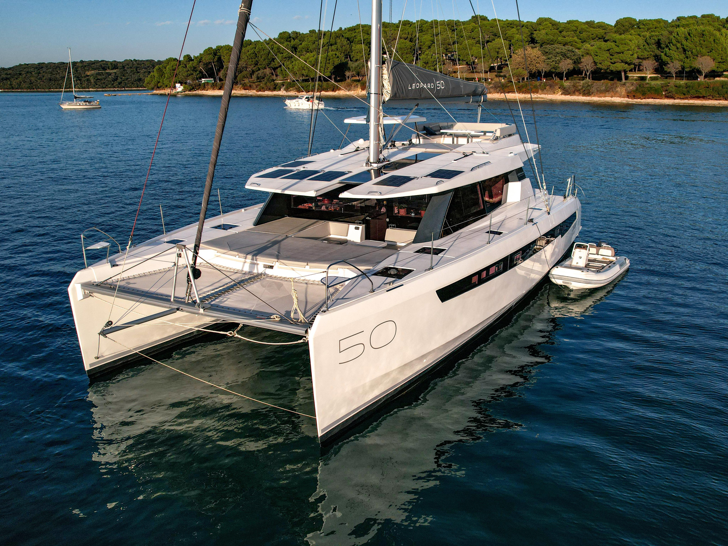 Leopard 50 — photo 1