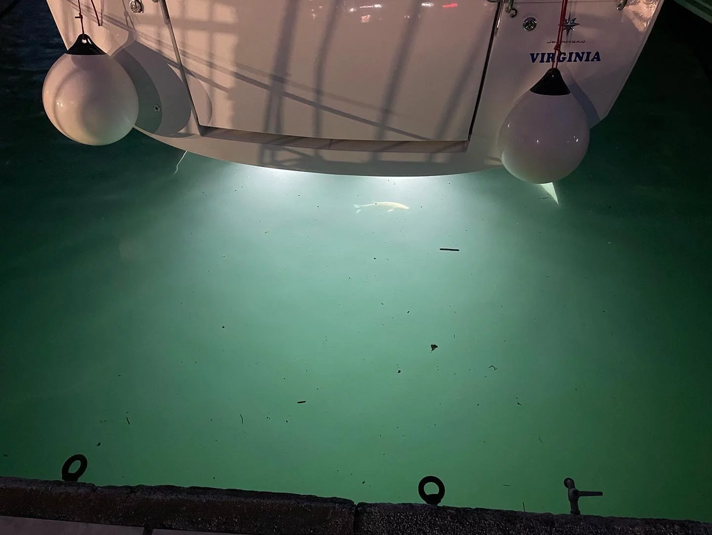 Sun Odyssey 440 (Virginia (, Gen. 10kVA, Watermaker 160L/h, Electric Winch))  - 14