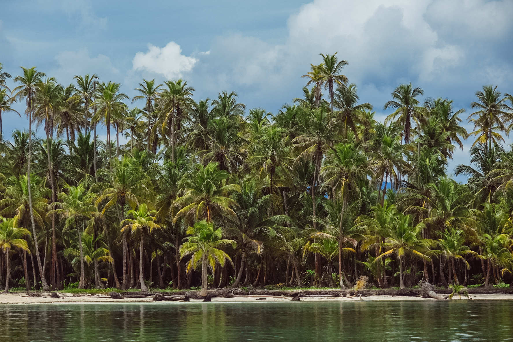 Photo #10 - Sun Odyssey 44 i (Guji) in San Blas - 21480