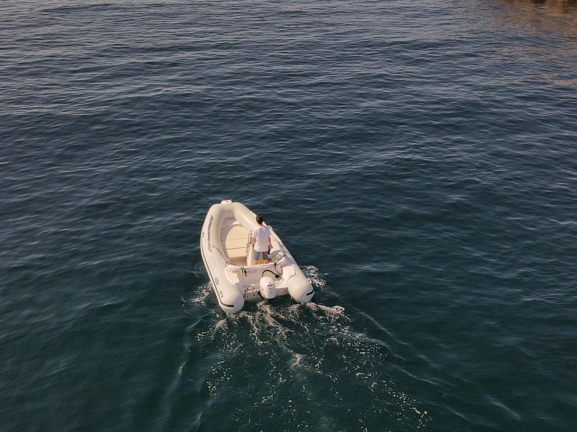 Predator 490 — photo 2