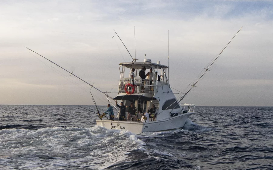 Luhrs 340 (Ocadilla)  - 5