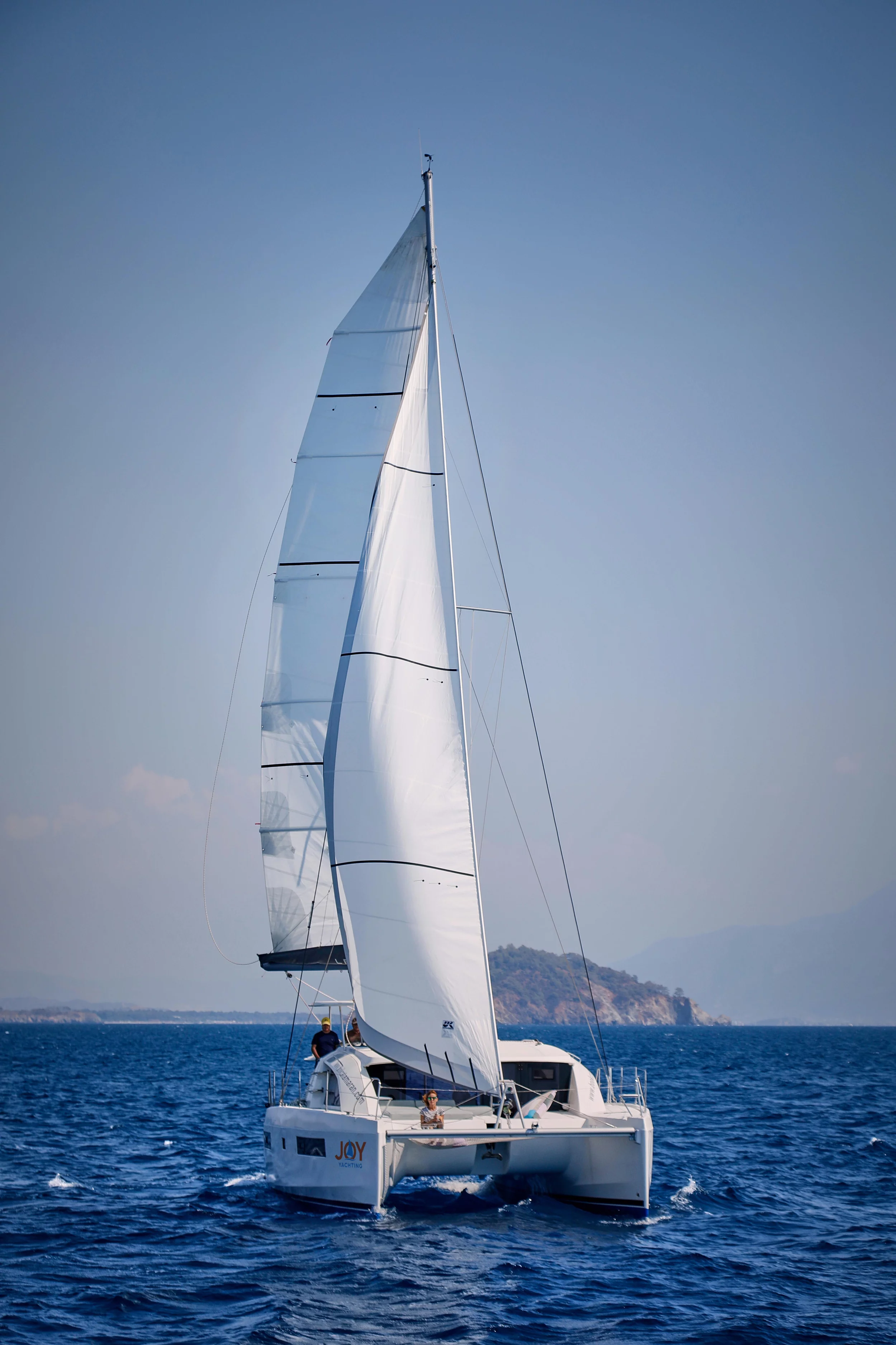 Leopard 40 (Panda Joy)  - 14