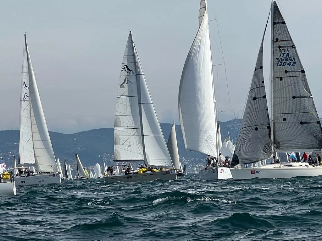 Hanse 505 (Wrungel)  - 4
