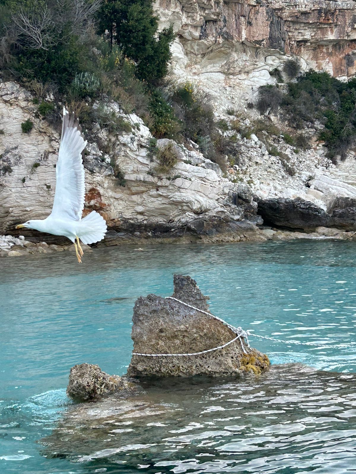 Photo #4 - Bali 4.4 (Nausicaa) en Lefkada - 16542