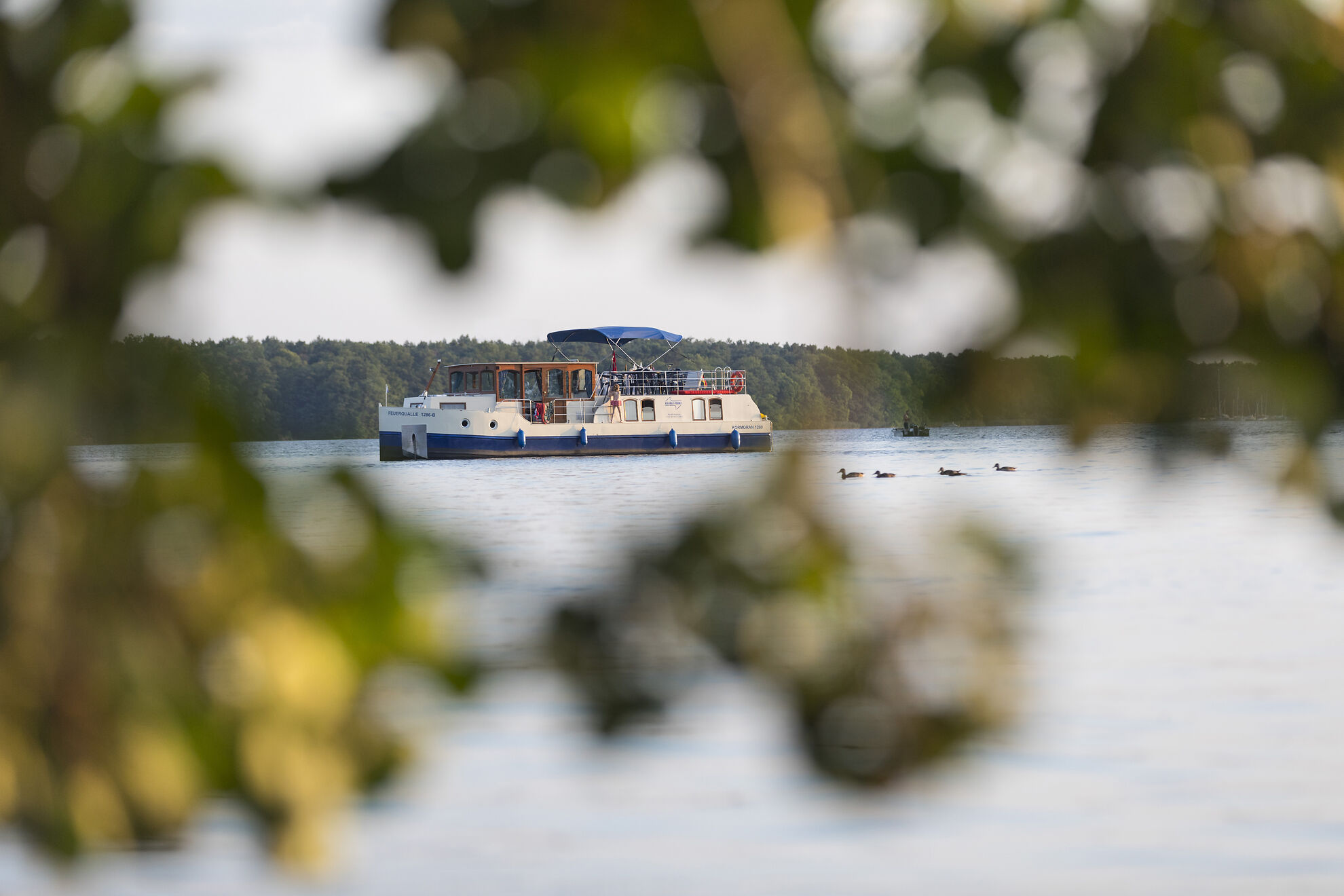 Photo #6 - Kormoran 1280 (Kormoran 1280-11) in Rechlin - 22534