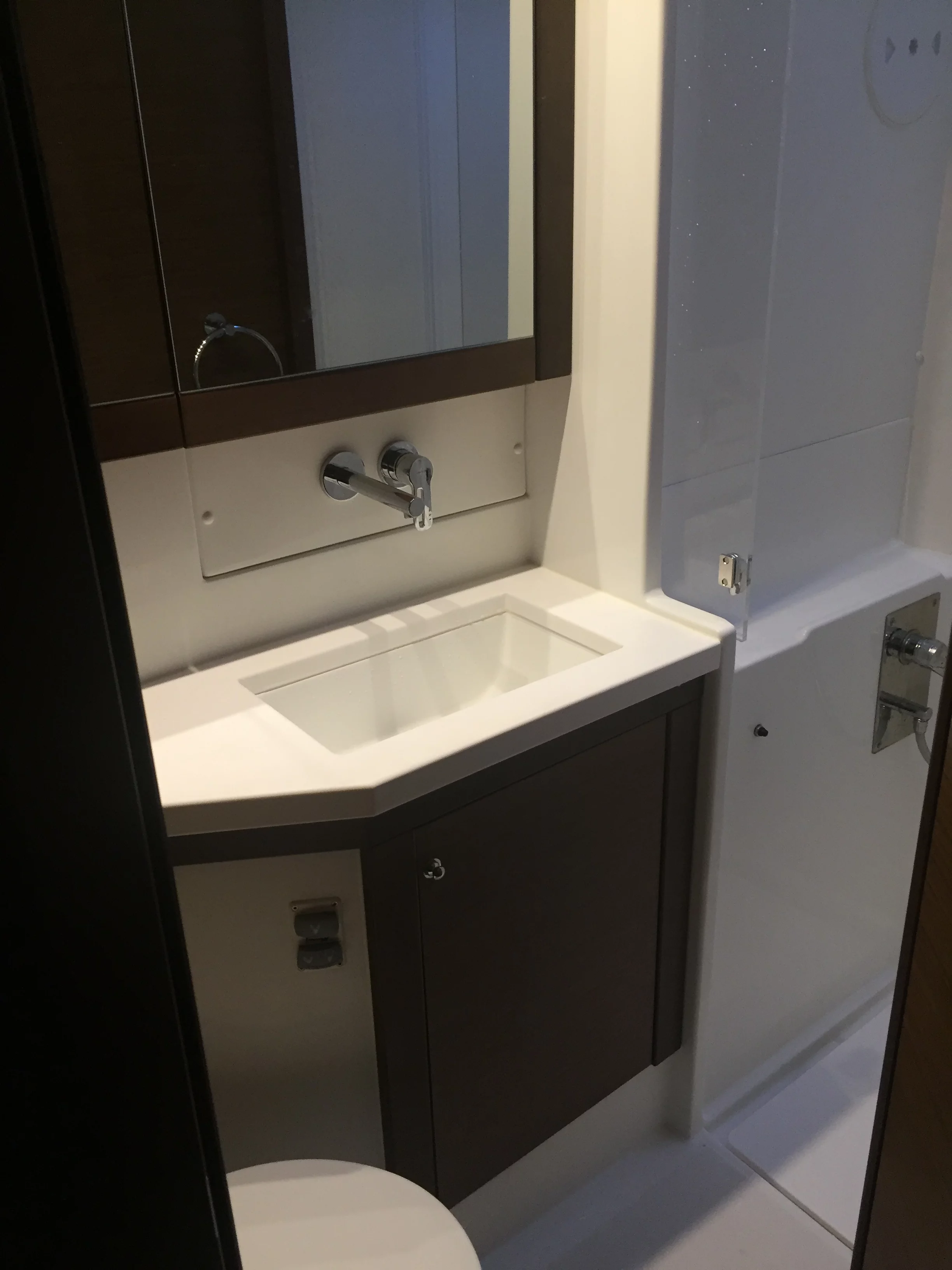 Lagoon 450 SporTop (Toja) Bath / toilet 1 - 13