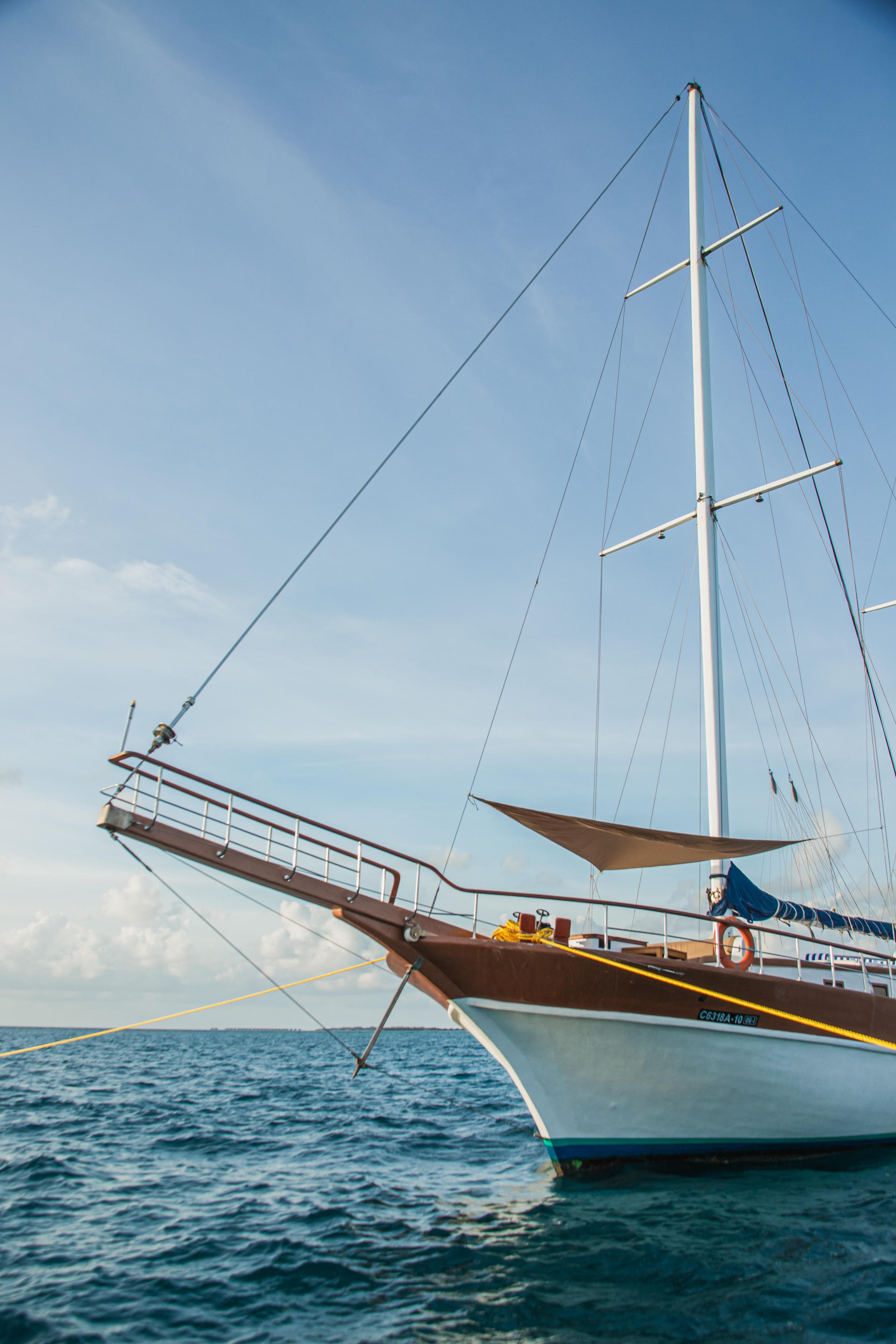 Photo #21 - Gulet (Akoya Pearl) in Male - 22863